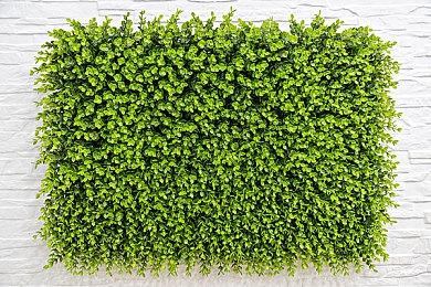 后末日探索游戏《生存地带：泰坦宝矿》现已在Steam平台正式推出